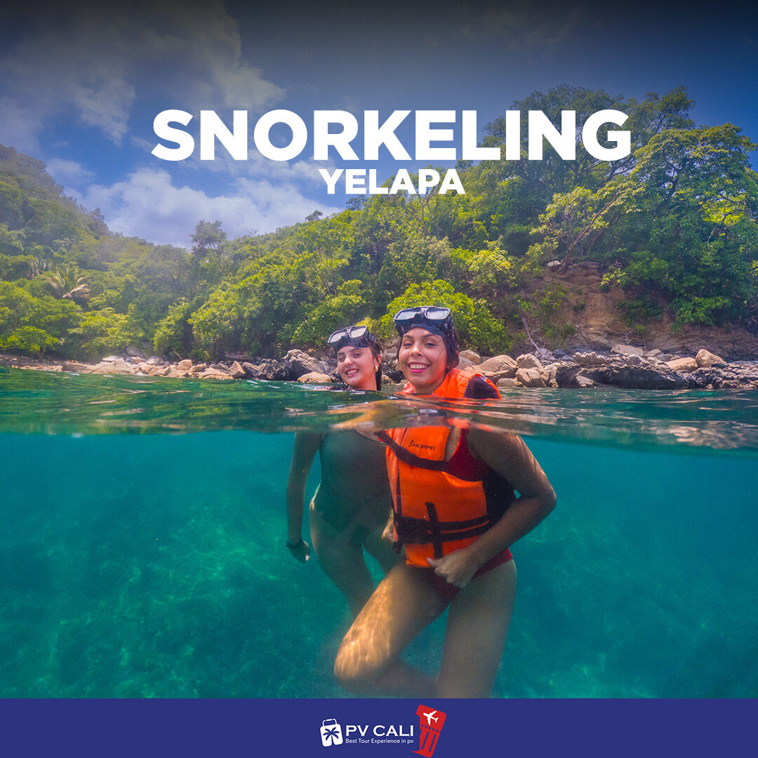 SNORKELING YELAPA