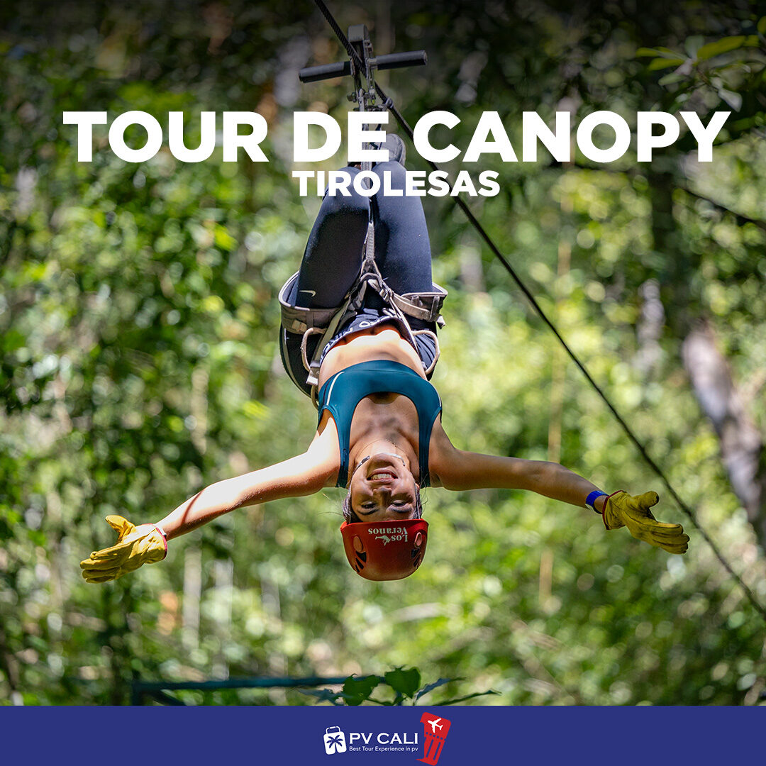 tour de canopy - pv cali